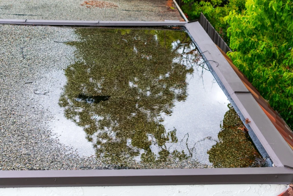 puddle