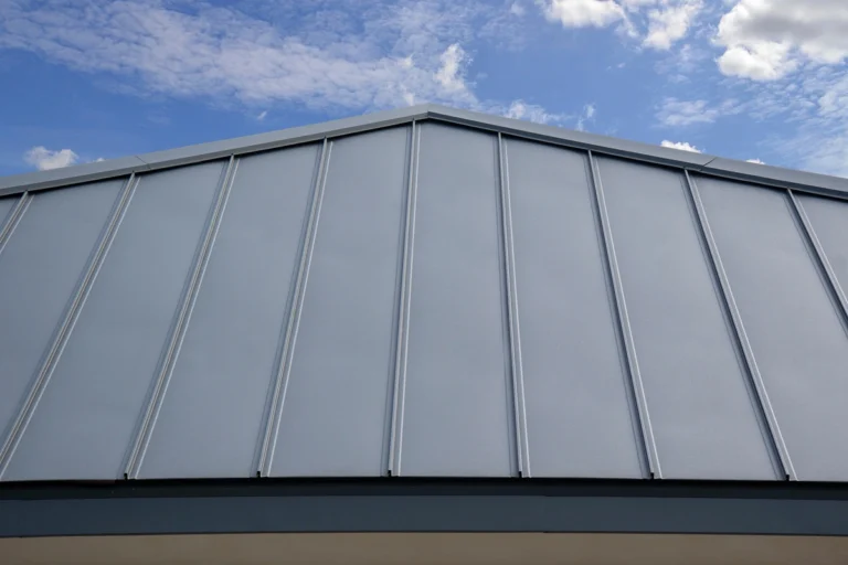 standing seam roof and sky