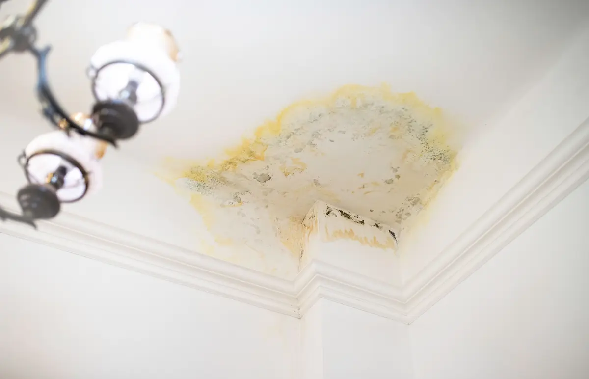 chandelier and ceiling stain