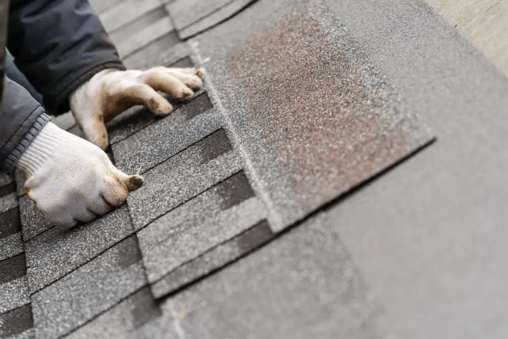 laying shingles