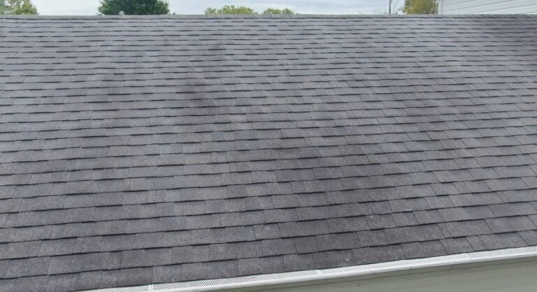 Discolored shingles on a roof