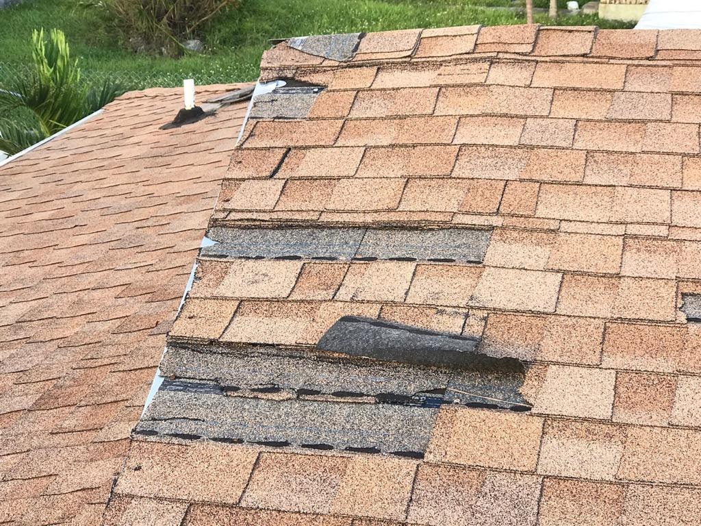 Damaged shingles from wind exposure.
